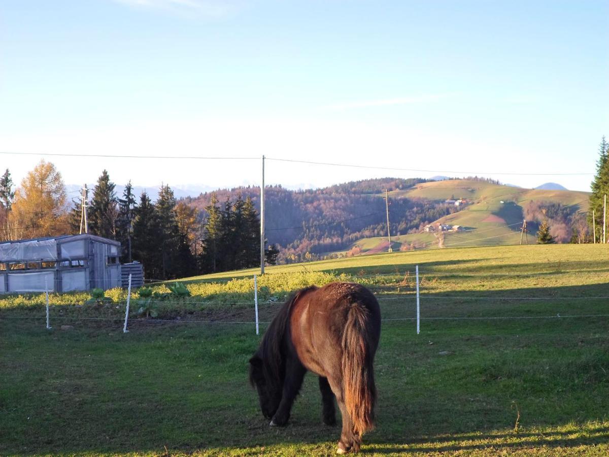 Holiday Home Forest Peace, Lavrovec Hlevni Vrh Buitenkant foto