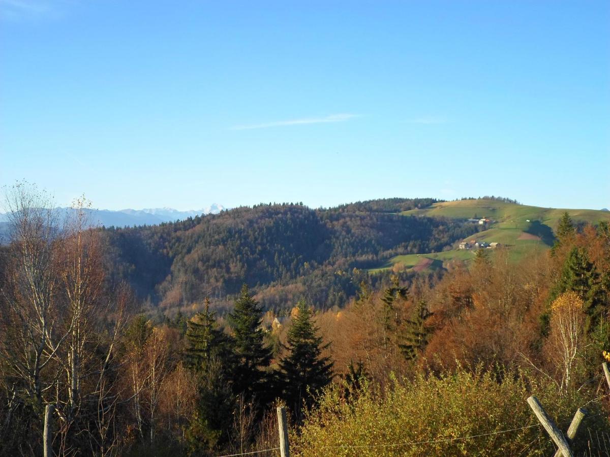 Holiday Home Forest Peace, Lavrovec Hlevni Vrh Buitenkant foto