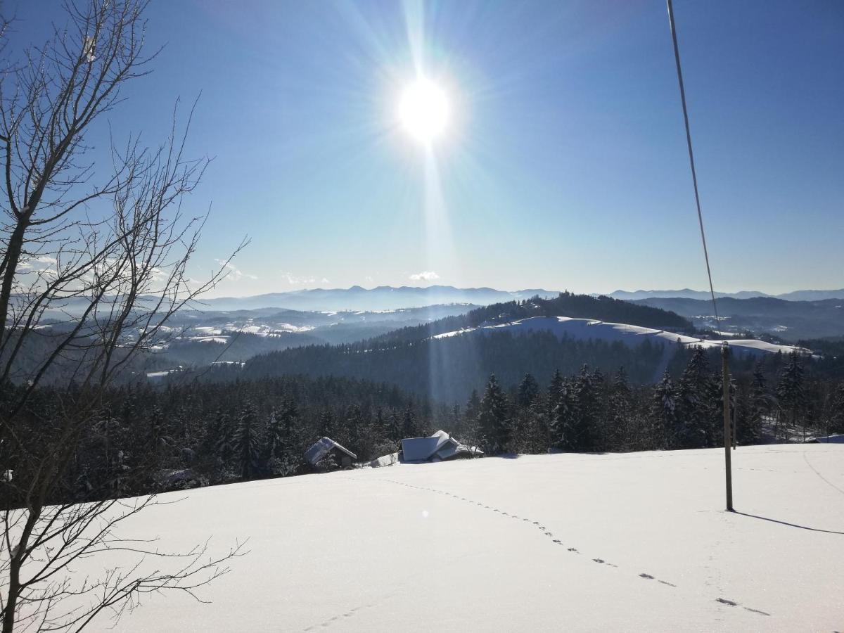 Holiday Home Forest Peace, Lavrovec Hlevni Vrh Buitenkant foto