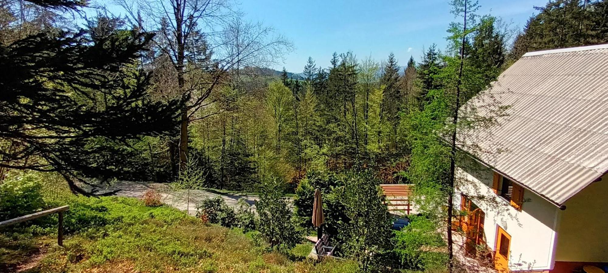 Holiday Home Forest Peace, Lavrovec Hlevni Vrh Buitenkant foto