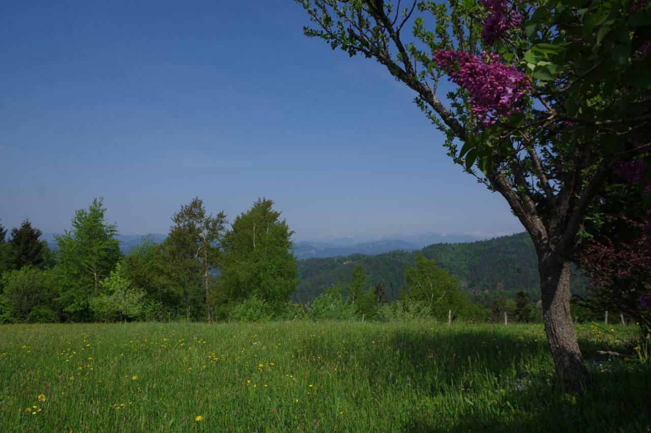 Holiday Home Forest Peace, Lavrovec Hlevni Vrh Buitenkant foto