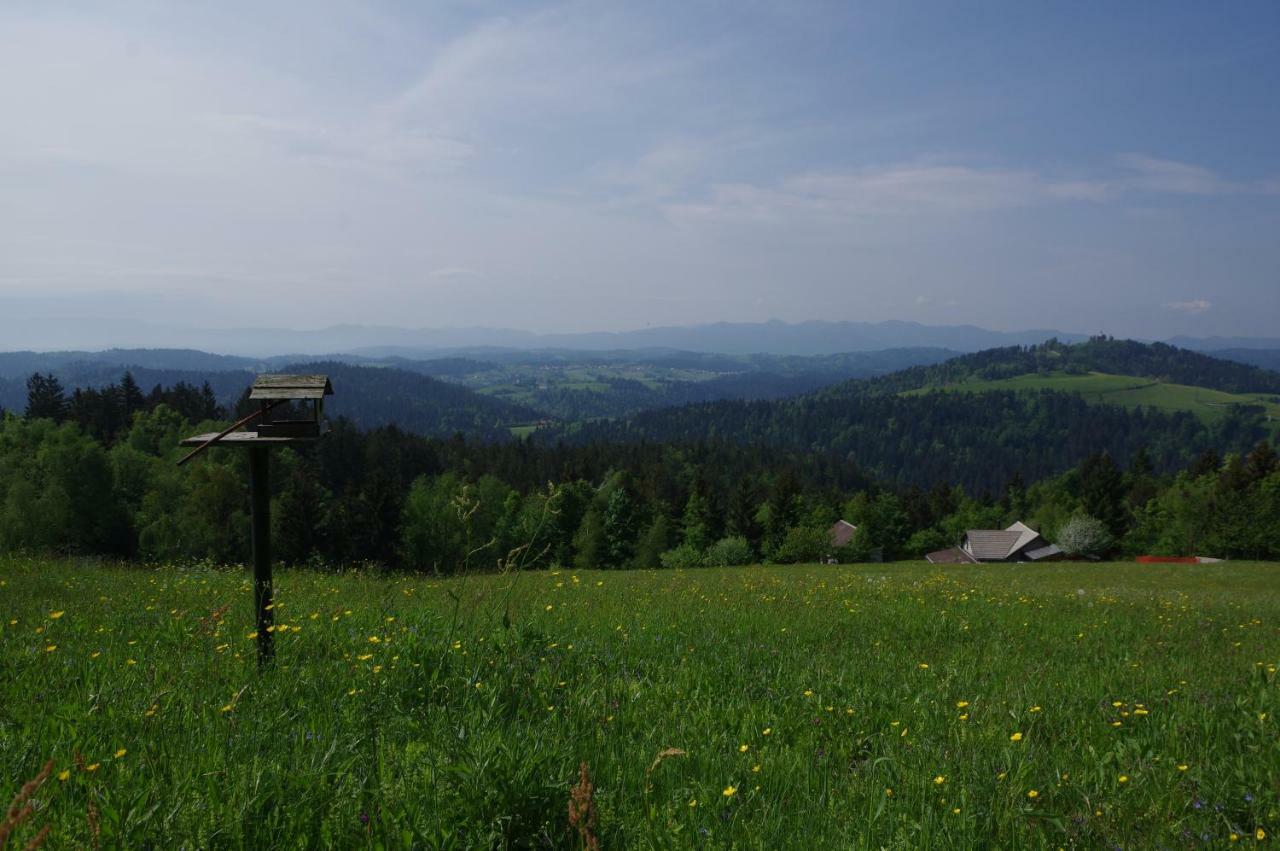 Holiday Home Forest Peace, Lavrovec Hlevni Vrh Buitenkant foto