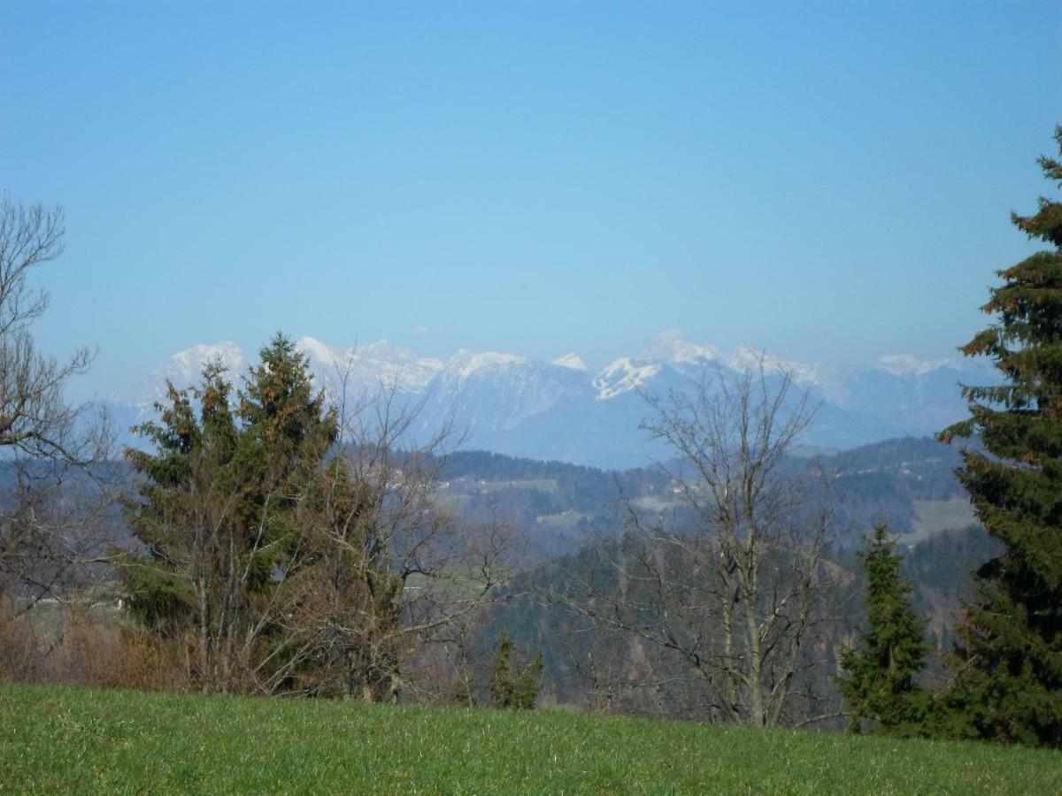 Holiday Home Forest Peace, Lavrovec Hlevni Vrh Buitenkant foto