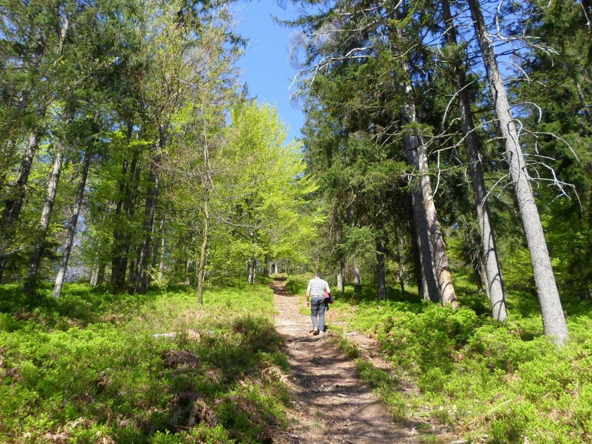 Holiday Home Forest Peace, Lavrovec Hlevni Vrh Buitenkant foto